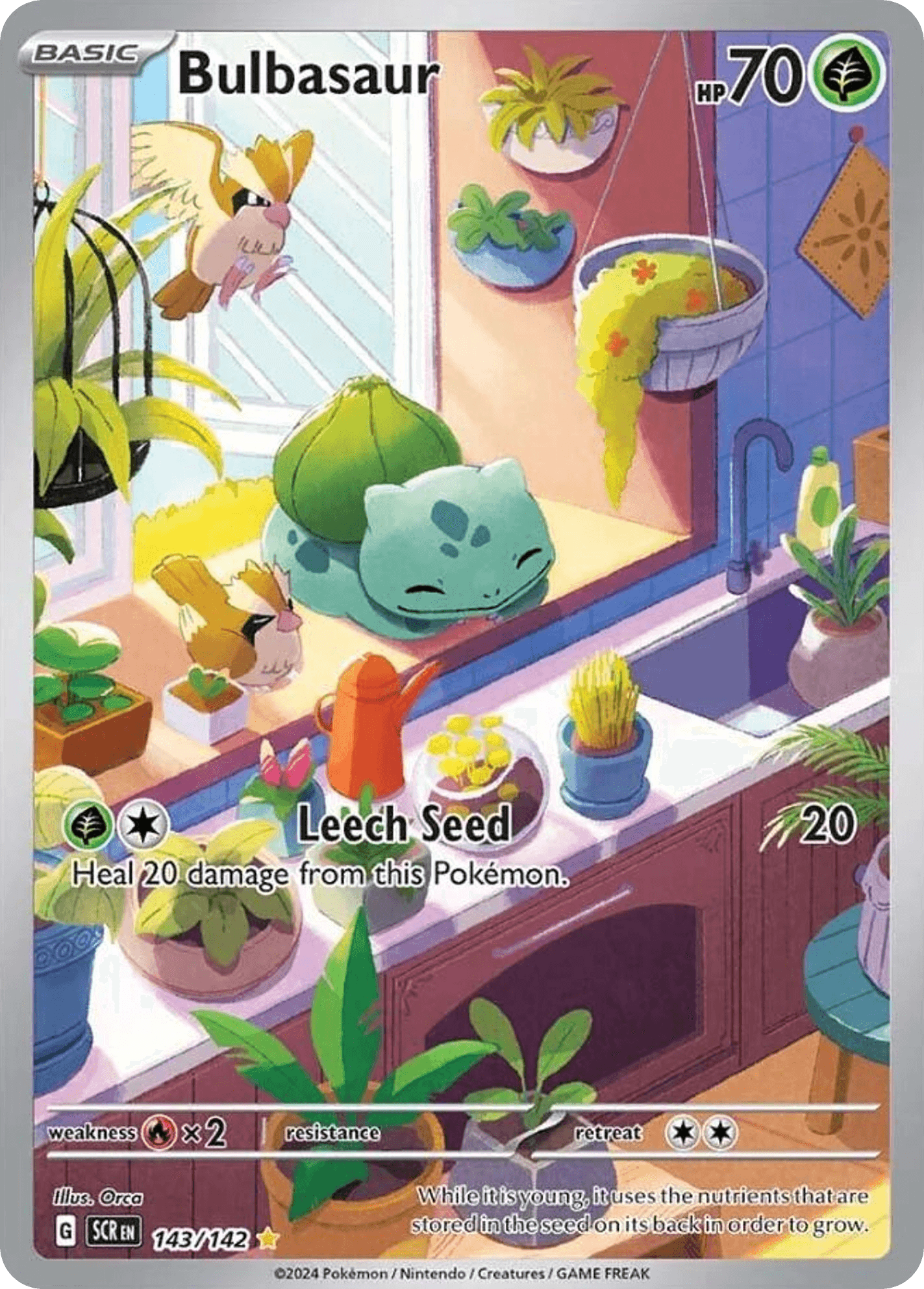 이상해씨 (Bulbasaur) 카드